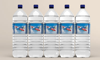 Airplane Water Bottle Labels