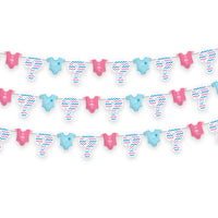 Gender Reveal Garland