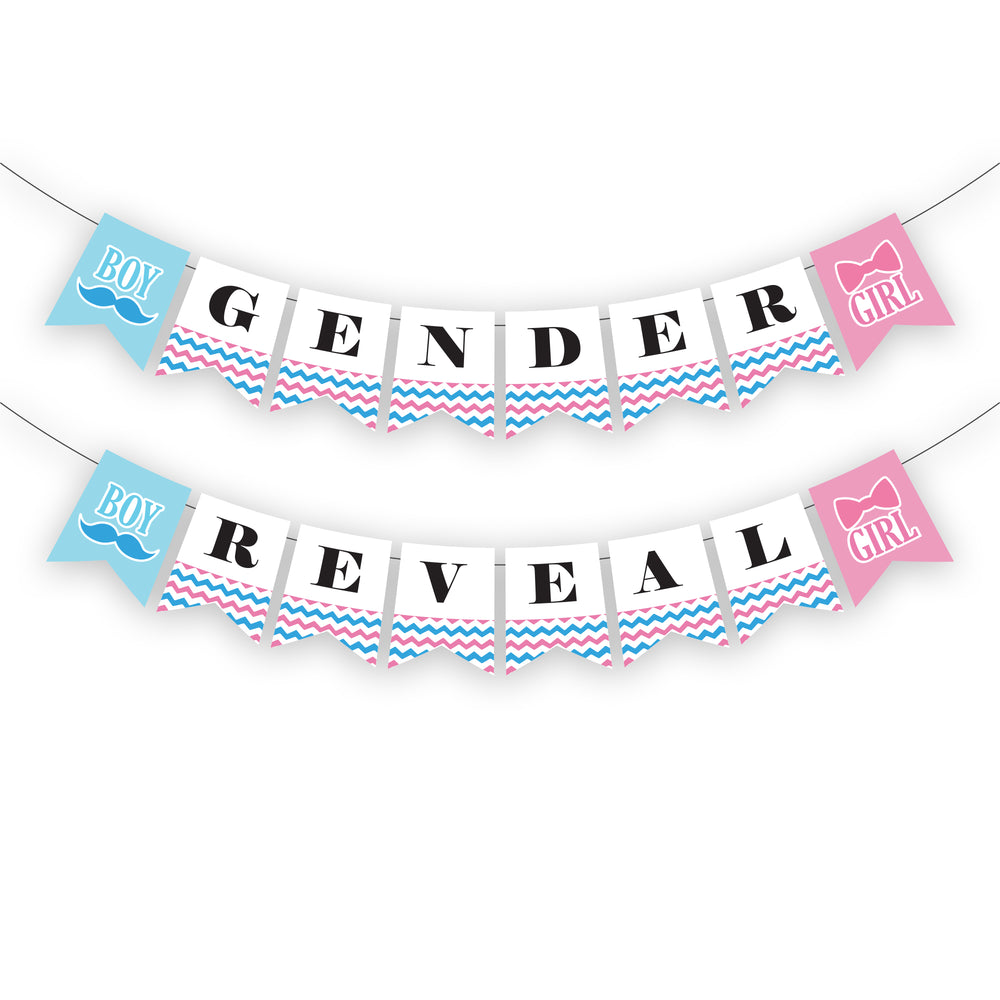 Baby Gender Reveal Banner – partiesandsupplies