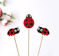 Lady Bug Birthday Centrpieces