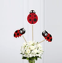 Lady Bug Birthday Centrpieces