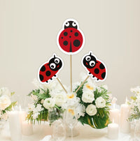 Lady Bug Birthday Centrpieces