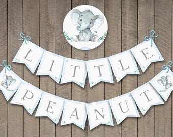 Little Peanut Birthday Decorations | Little Peanut Banner